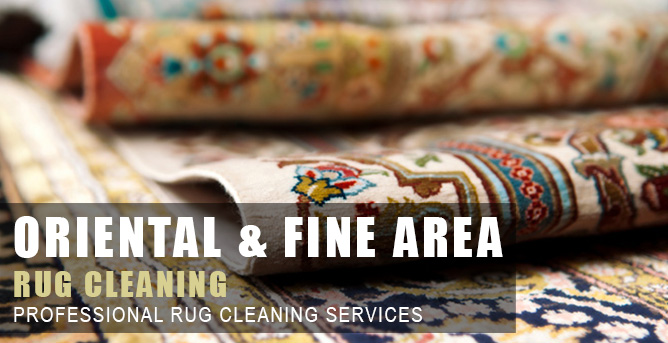 Carpet Cleaning Baton Rouge Hammond, Persian Rug Cleaning Baton Rouge